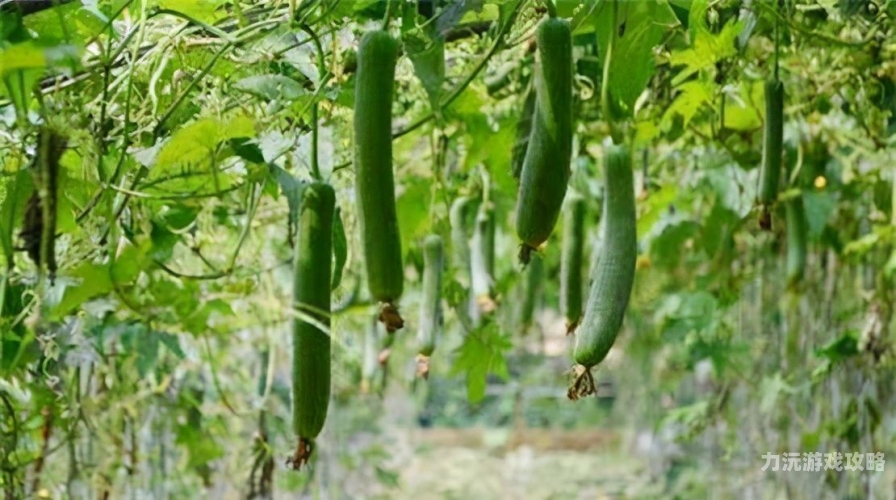 草莓香蕉榴莲丝瓜十八岁可以吃吗十八岁可以吃草莓香蕉榴莲丝瓜吗？——全面解析青少年饮食安全