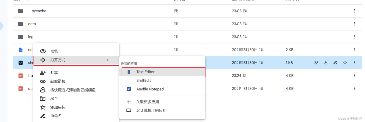 揭秘Google的永久免费服务器服务google永久免费的服务器,我要看我的相册