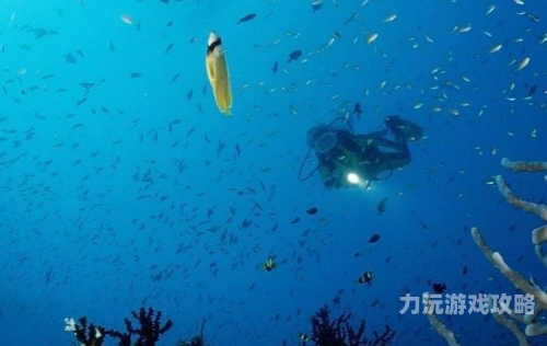 中文字幕一二三区深度解析，探索背后的奥秘与应用大地资源中文在线观看官网免费