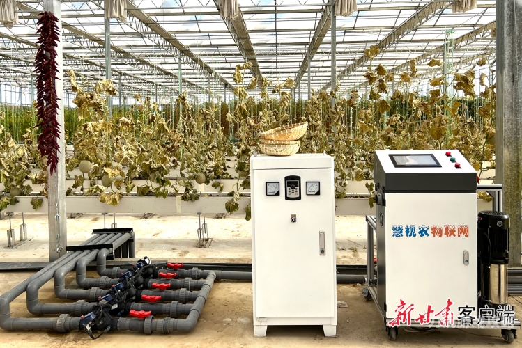 qq农场一、QQ农场的兴衰与变迁