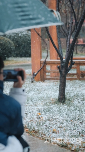 初雪影院初雪影院，无广告追剧的绝佳选择