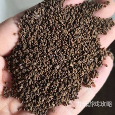 种子资源，探索植物生命的起源与未来应用种子资源搜索神器下载