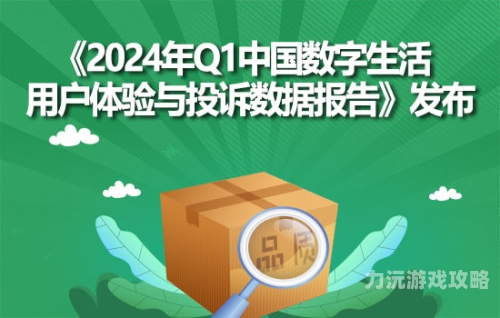 网站网站，互联网时代的数字门户与无限可能