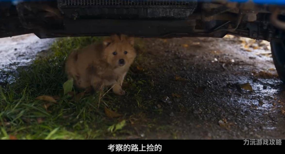 国产精品交换背后的故事与思考