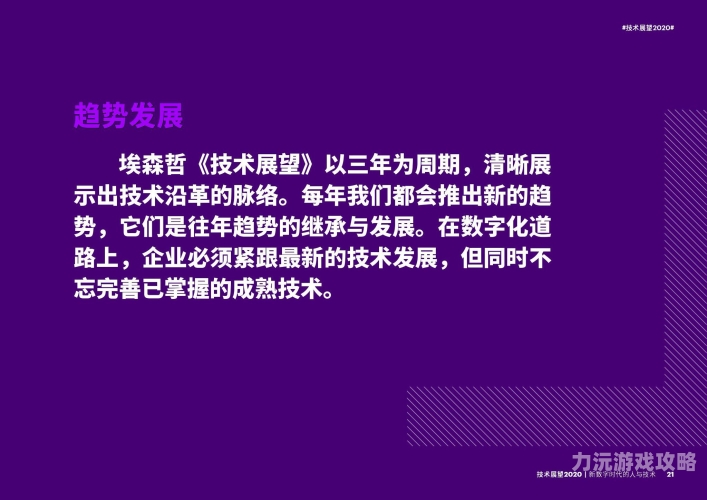 2020无码视频专区，探索数字时代的神秘领域