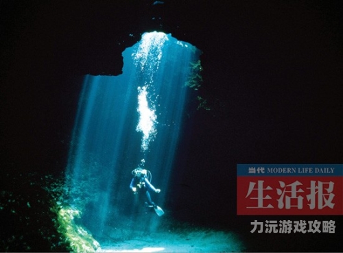 成人AⅤDVD，探索网络上的神秘世界成人AⅤ1314