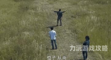国产精品闪耀荧屏，AAA电影系列引领潮流
