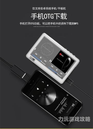 免费免播放器的无码视频免费免播放器无码视频，揭秘网络奇趣