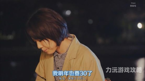 日本黑白配免费在线，探索神秘魅力与福利日本黑白图片
