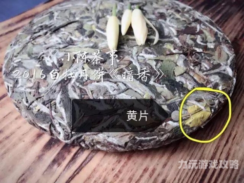 黄片泛滥，揭秘在线免费观看非法内容
