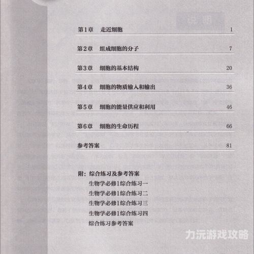 日本新一二三区不卡在线观看日本新区在线观看体验升级，流畅无阻的观影新纪元