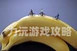 缤纷世界，探索爽与香蕉的双重魅力人人爽人人香蕉动漫