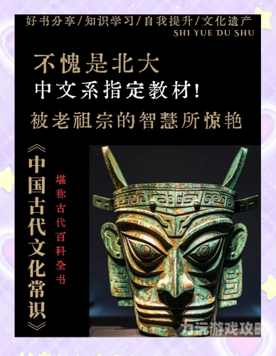国产精品免费播放区，一二三区带你领略文化魅力