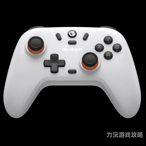 探索无码视频在线观看的神秘世界今天高清视频在线观看