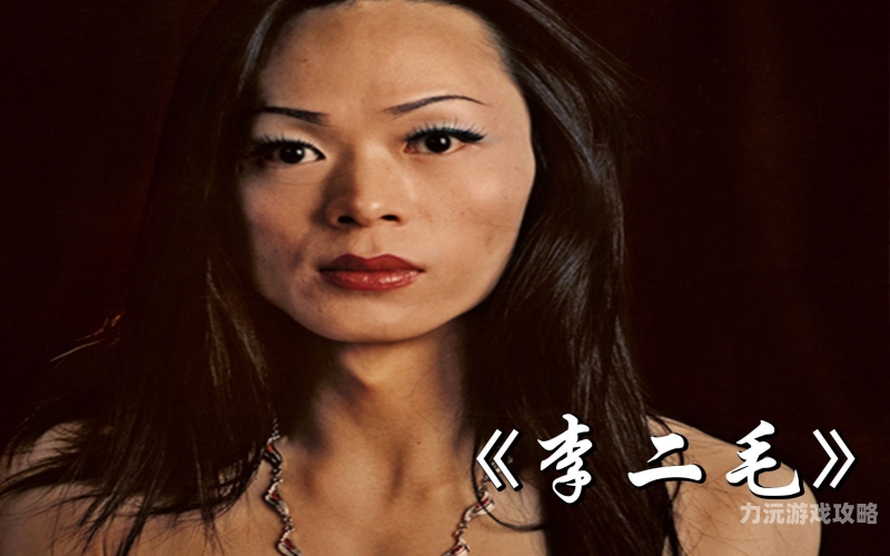 国产免费A级成人片在线观看国产免费A级成人片在线观看，安全与隐私的双重保障