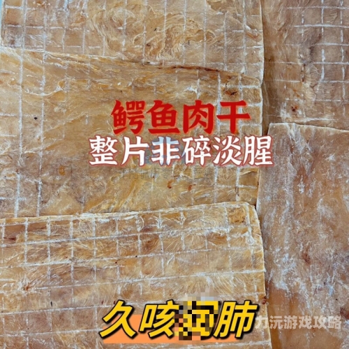 国产精品无码久久久久久电影国产精品无码电影，深入解析与推荐