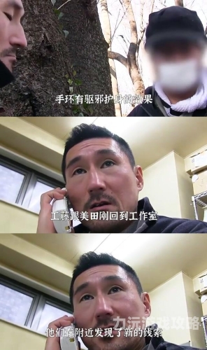 国产爽女视频免费，揭秘网络热潮与女性权益保障