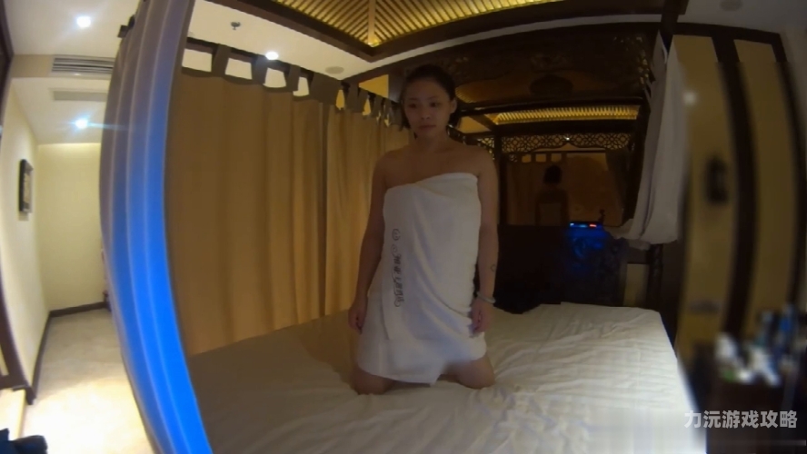 欧美亚洲激情视频在线观看欧美亚洲激情视频在线观看，探索多元文化下的激情盛宴