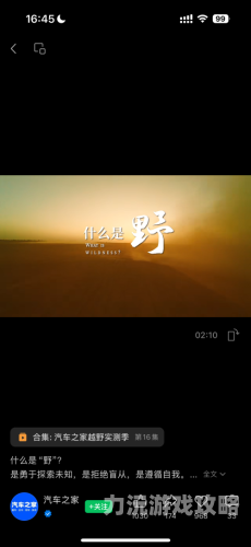 免费直播盛宴，久久播带你探索无限可能
