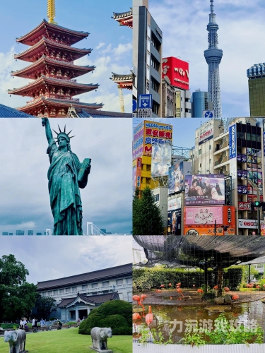东京热一区二区，探索无码视频的神秘世界