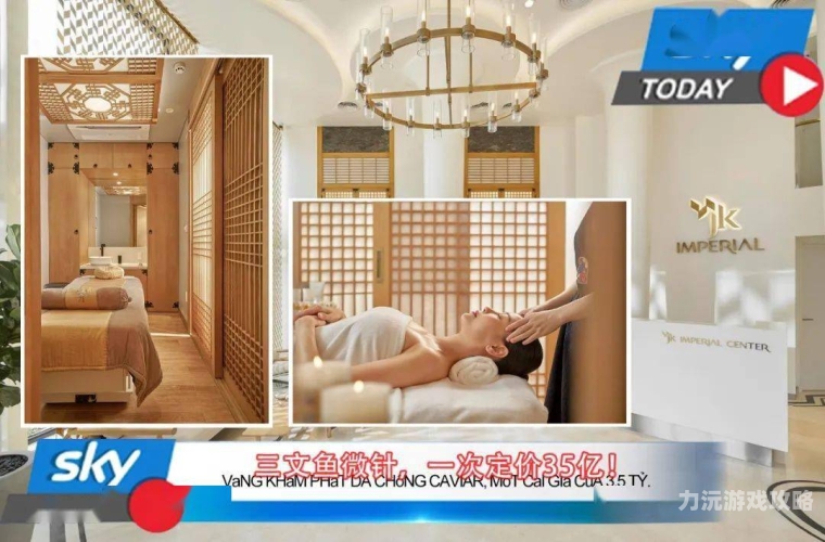 亚洲精品，探索ty背后的神秘魅力亚洲精品ty久久久久久久久久久久久久