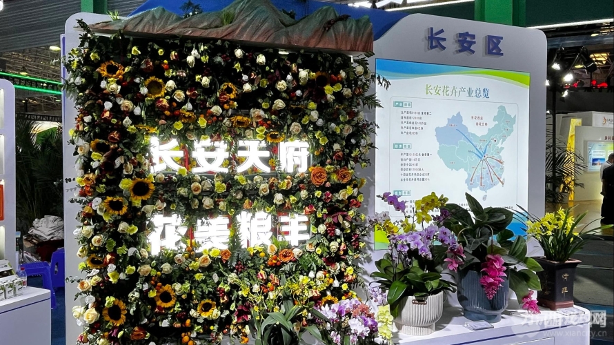 大屁股国产白浆一二区，区域发展与产业升级的新篇章
