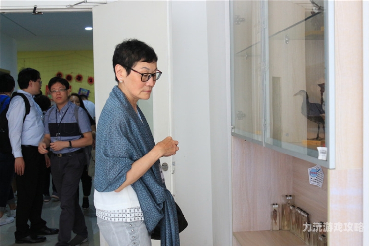 欧美日本人人视频欧美日本人人视频，多元文化下的视频新潮流